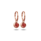 Or rose image